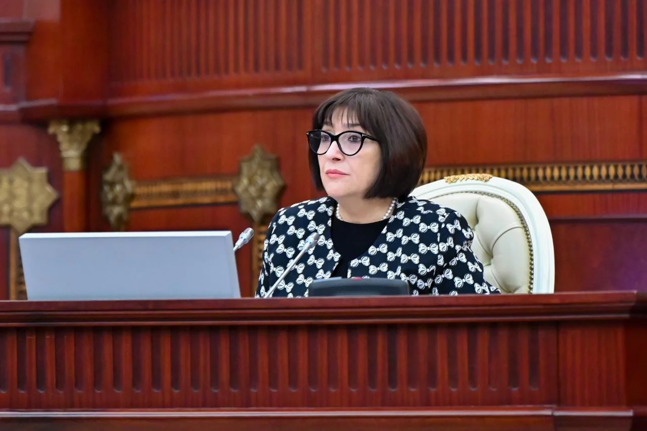 Milli Məclisin iclasında