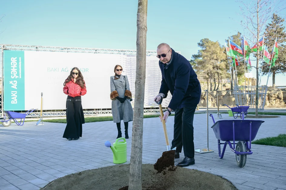 Parkdakı ilk palıdı Prezident əkdi - Fotolar