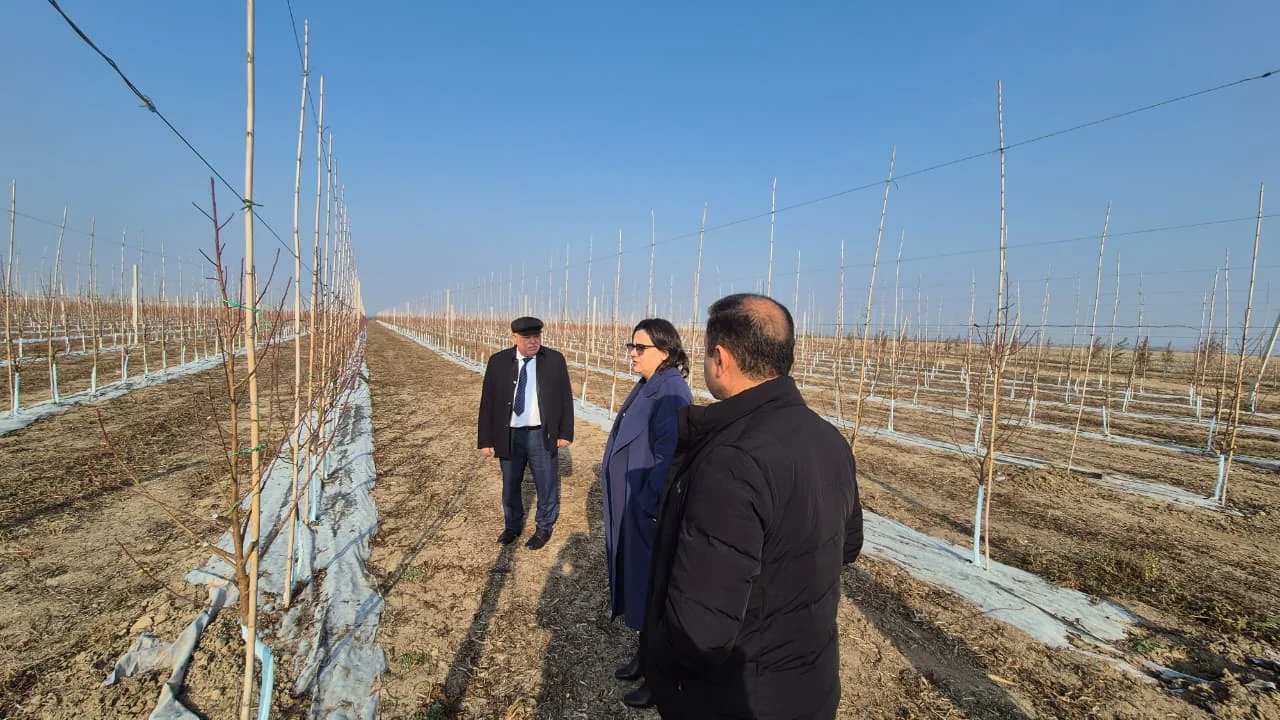 Kənd təsərrüfatı nazirinin müavini İlhamə Qədimova Ağcabədidə vətəndaşları qəbul edib, fermerlərlə görüşüb