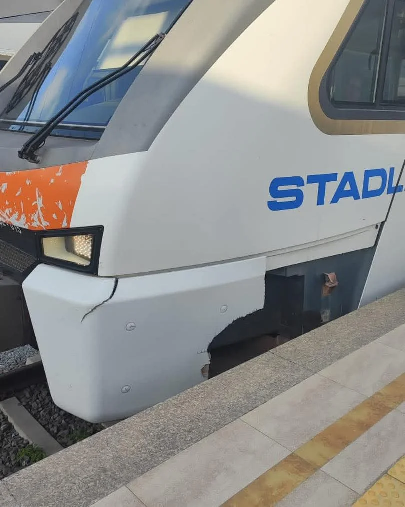 Dəmir Yolunda Təhlükə: Nəzarətsiz Mal-Qara Qəzalara Səbəb Olur