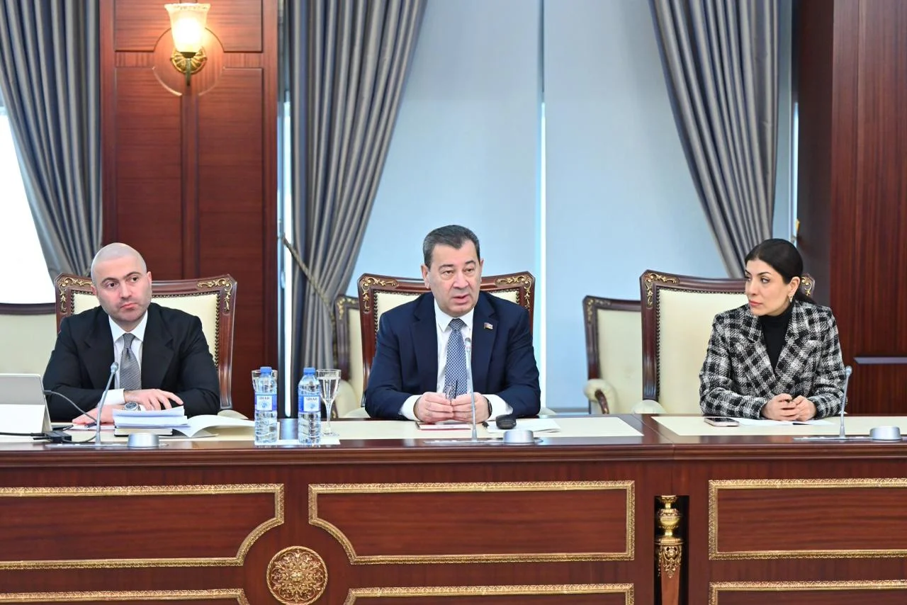 Milli Məclisdə görüş