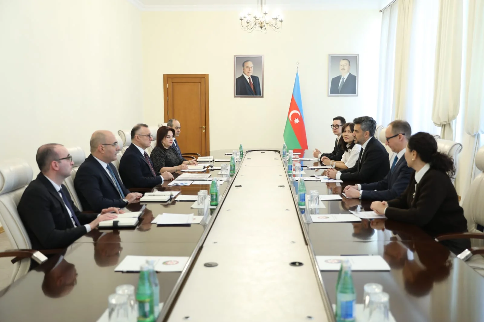 Azərbaycan Respublikasının Səhiyyə Nazirliyində beynəlxalq əczaçılıq şirkətinin nümayəndə heyəti ilə görüş keçirilib