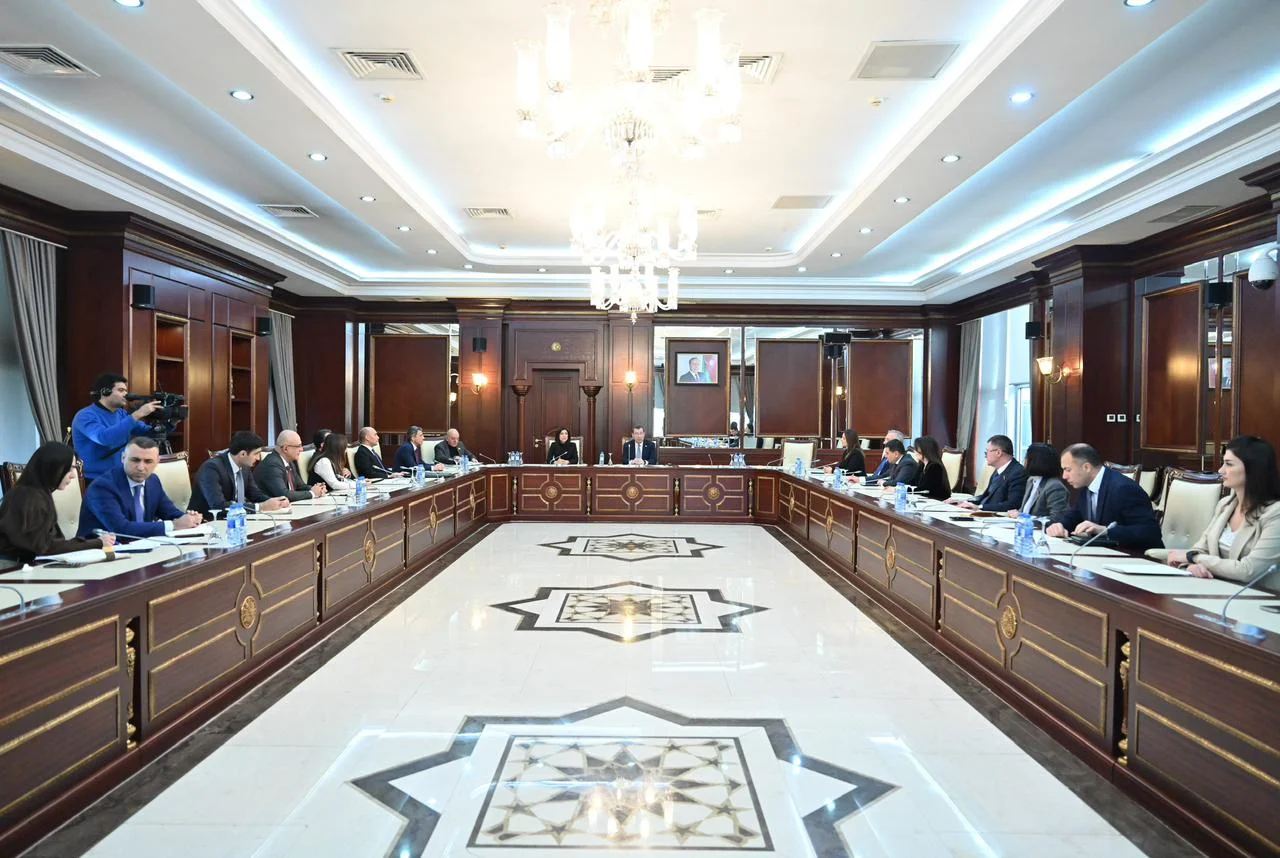 Beynəlxalq münasibətlər və parlamentlərarası əlaqələr komitəsinin iclasında