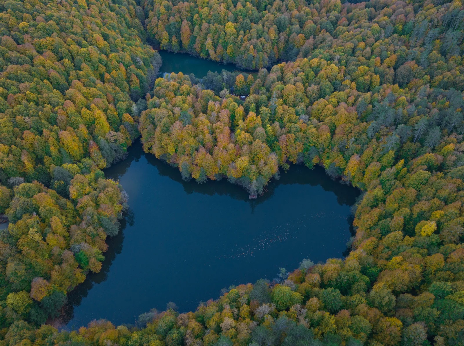 Türkiyənin füsunkar Qara dəniz bölgəsində qış sehrini kəşf edin