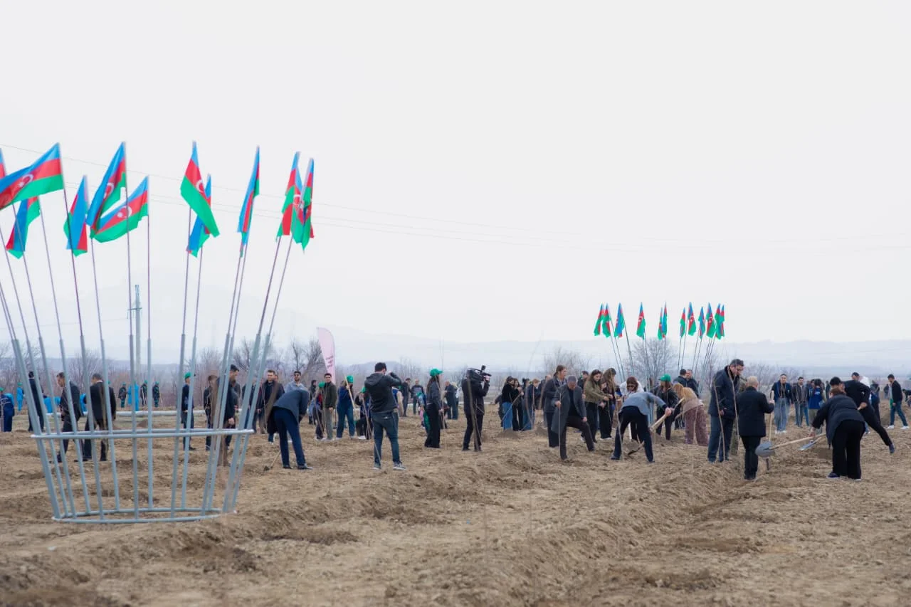 Naxçıvanda “Şəhərsalma və Memarlıq İli” çərçivəsində ağacəkmə aksiyası keçirilib