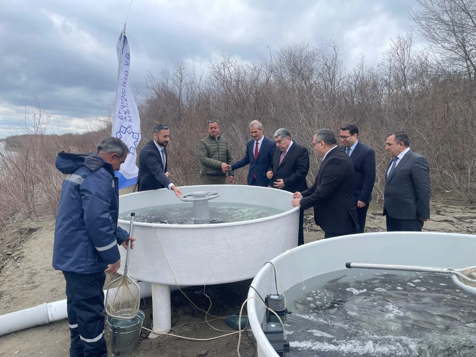 Kür çayına 4 000 ədəd çəkikimi balıq körpələrinin buraxılışı həyata keçirilib