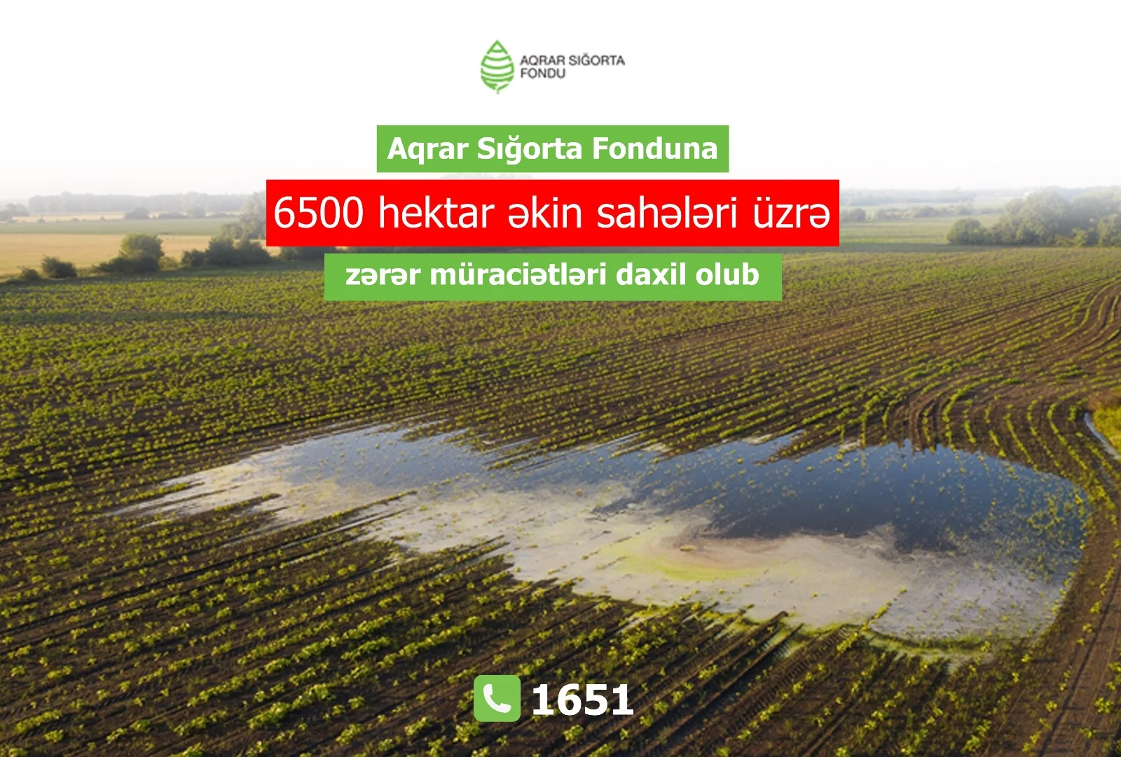 Aqrar Sığorta Fonduna 6500 hektardan artıq əkin sahəsi üzrə zərər müraciətləri daxil olub