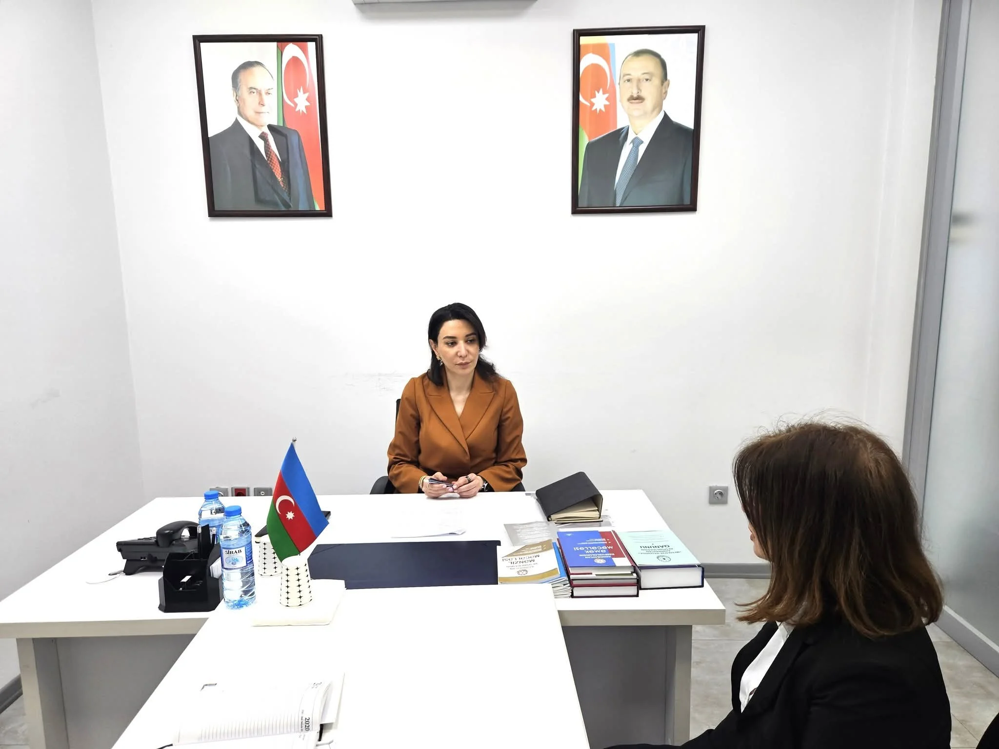 Ombudsman Səbinə Əliyeva vətəndaşları qəbul edib