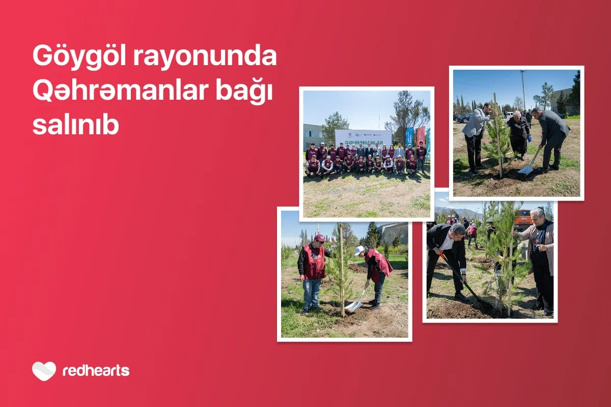 Göygöldə “Qəhrəmanlar bağı” aksiyası həyata keçirilib