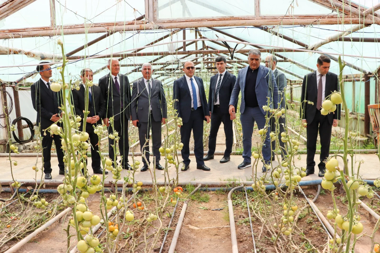 AKİA sədri Yalçın Camalov Naxçıvanda vətəndaşları qəbul edib, təsərrüfatlara baş çəkib