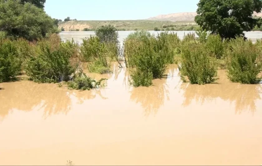 ADSEA Kür çayının daşması ilə bağlı məlumatlara aydınlıq gətirdi
