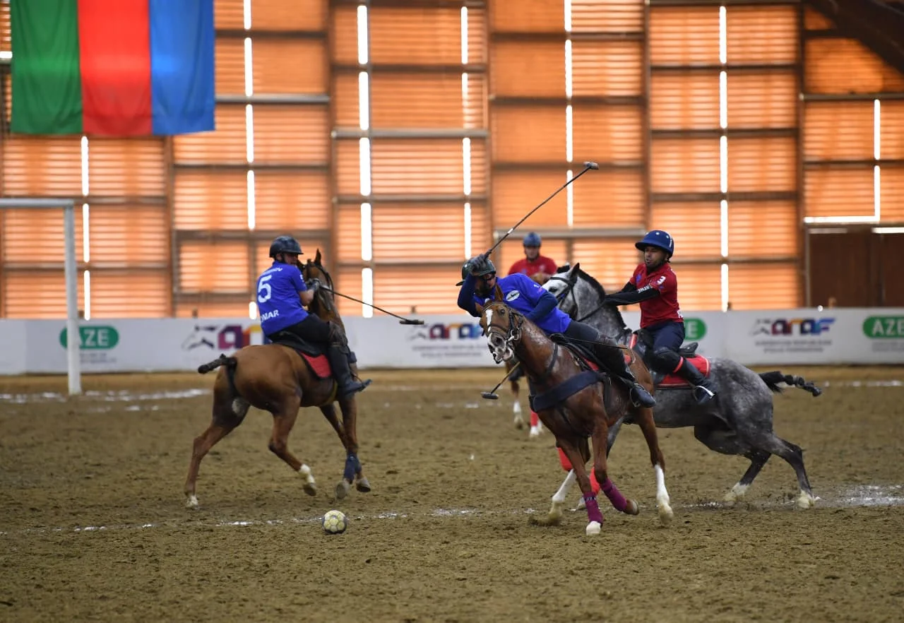 Peşəkar Çövkən Liqasında gərgin mübarizə davam edir ( VİDEO, FOTO )