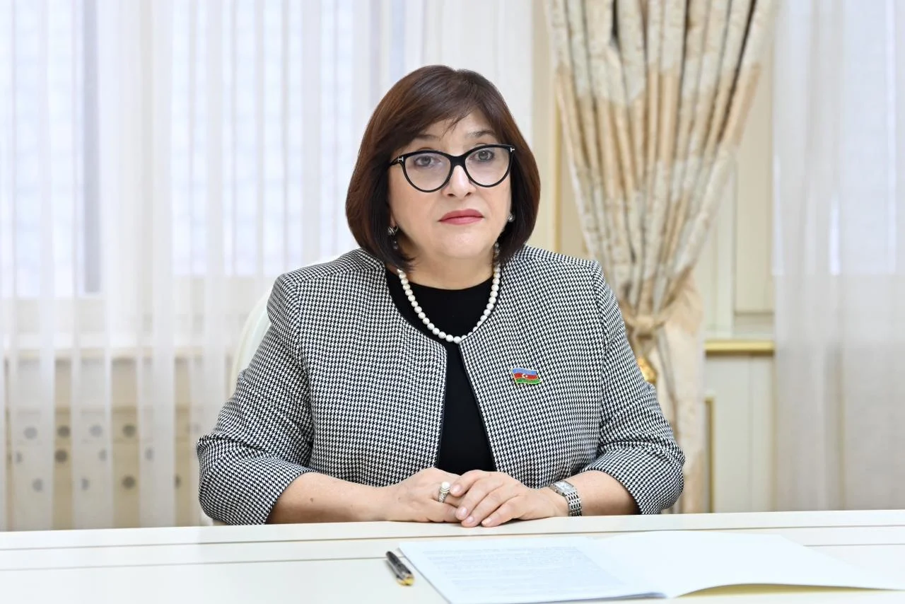 Milli Məclisin sədri Sahibə Qafarova İrlandiya-Azərbaycan parlamentlərarası dostluq qrupunun üzvləri ilə görüşüb