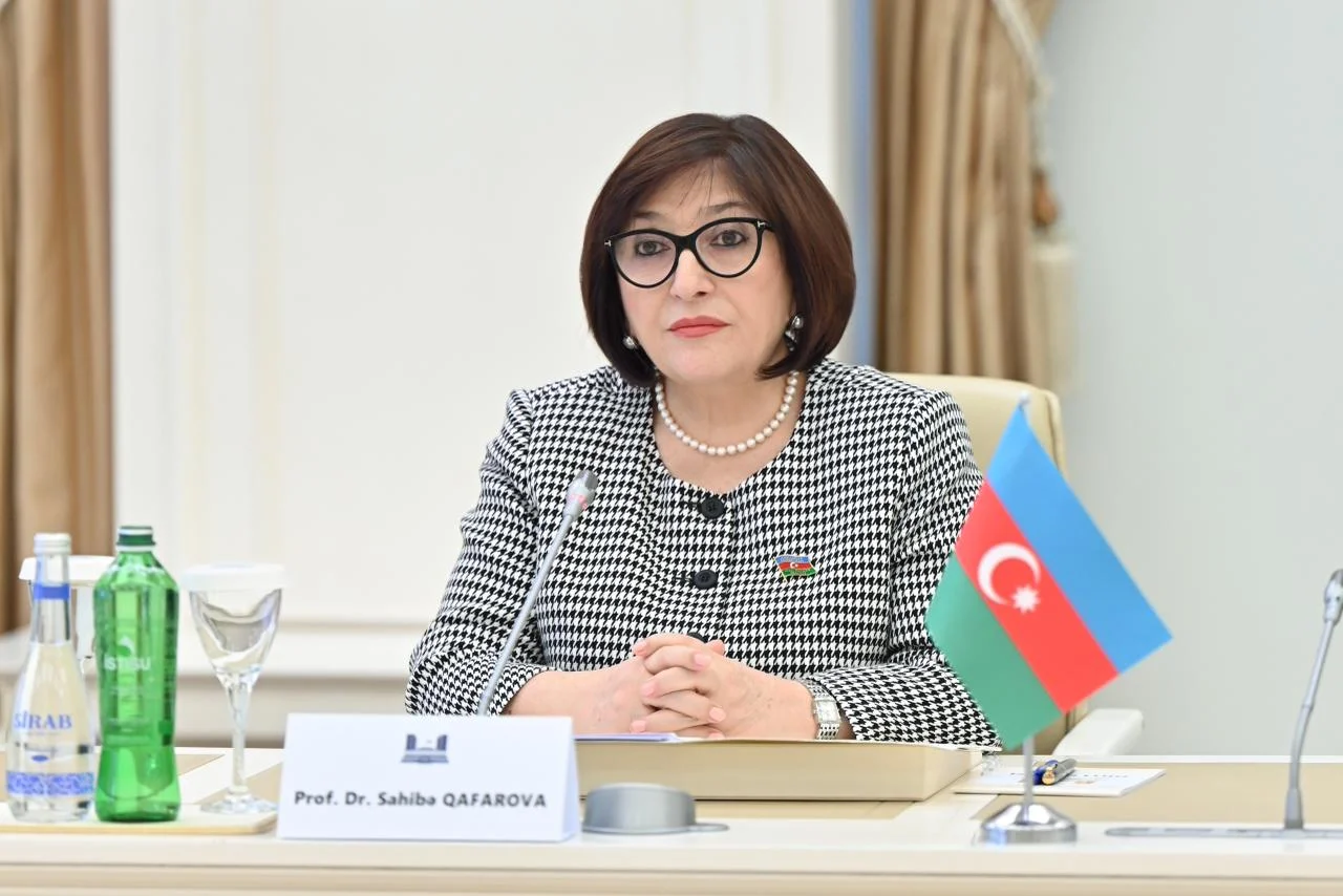Milli Məclisin sədri Sahibə Qafarova Litvanın Baş naziri ilə görüşüb
