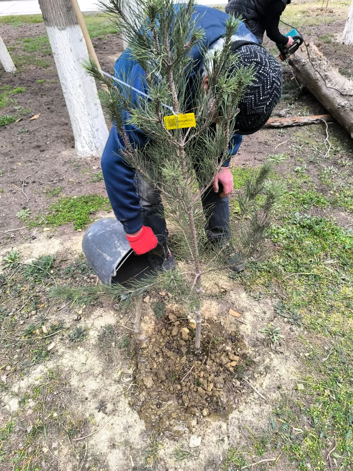Akademik M.A.Topçubaşov adına Elmi Cərrahiyyə Mərkəzinin açıqlaması
