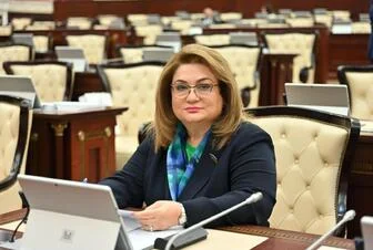 Beynəlxalq konfransda