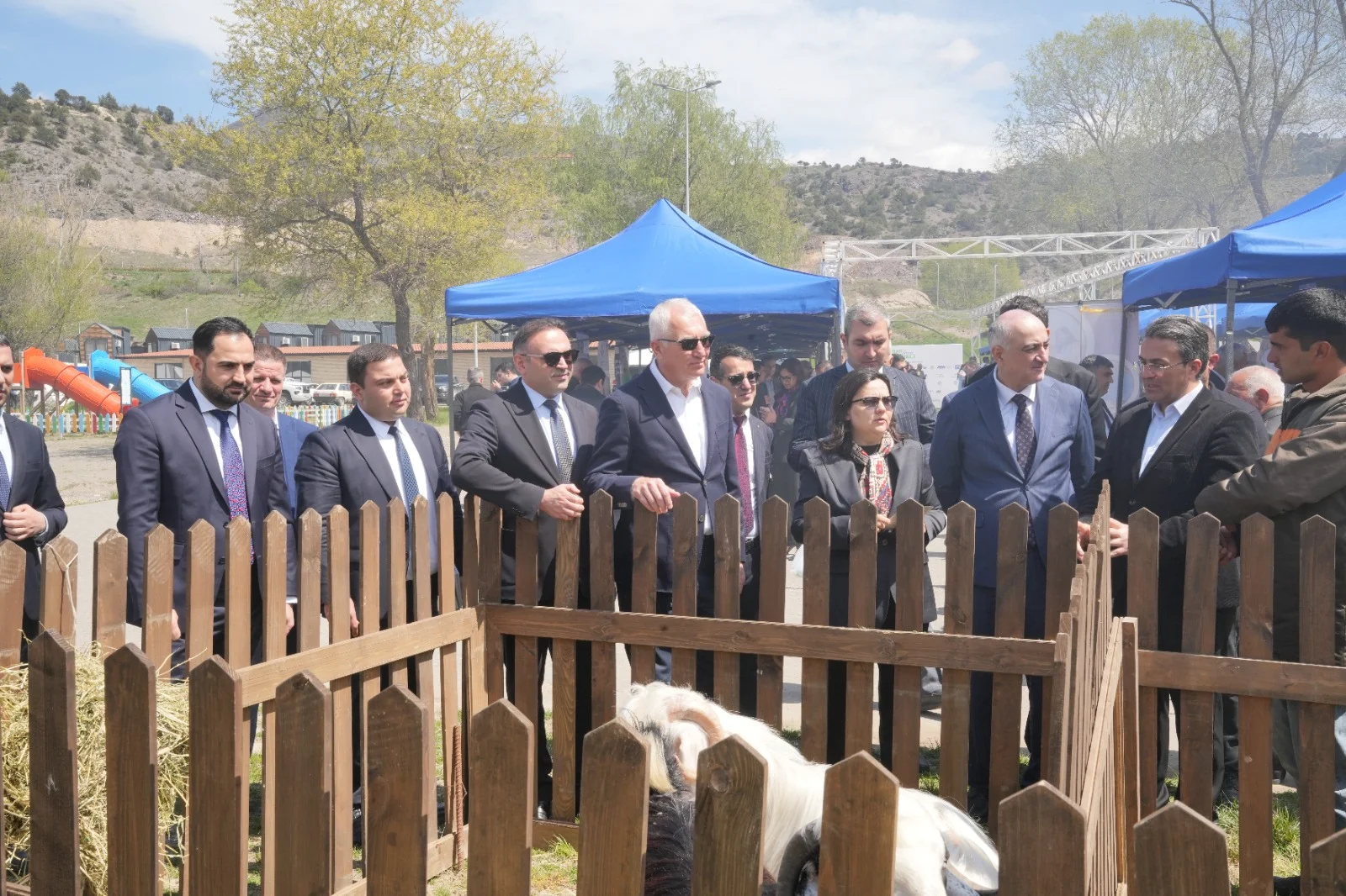 Laçın rayonunda Aqrar Biznes Festivalı keçirilib