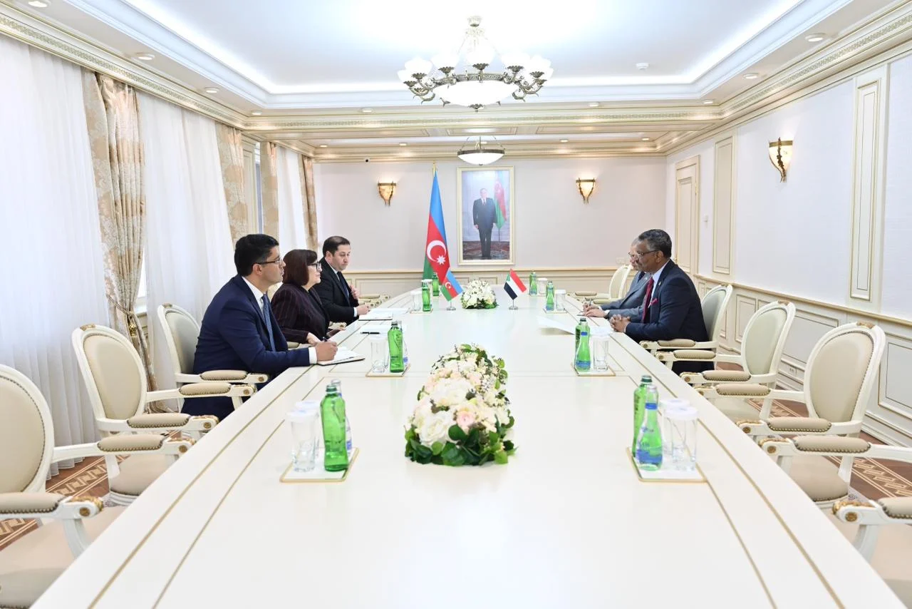 Milli Məclisin sədri Sahibə Qafarova Sudanın ölkəmizdəki fövqəladə və səlahiyyətli səfiri ilə görüşüb