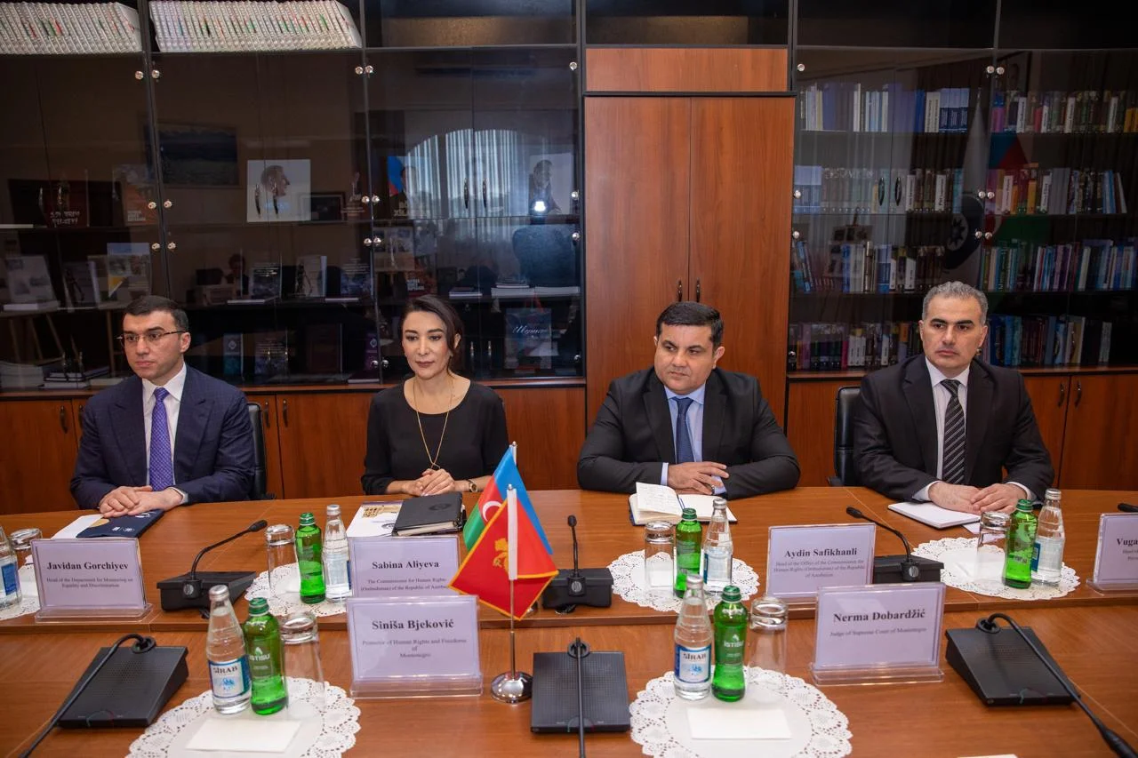 Ombudsman Səbinə Əliyeva Monteneqro Ombudsmanı ilə görüşüb