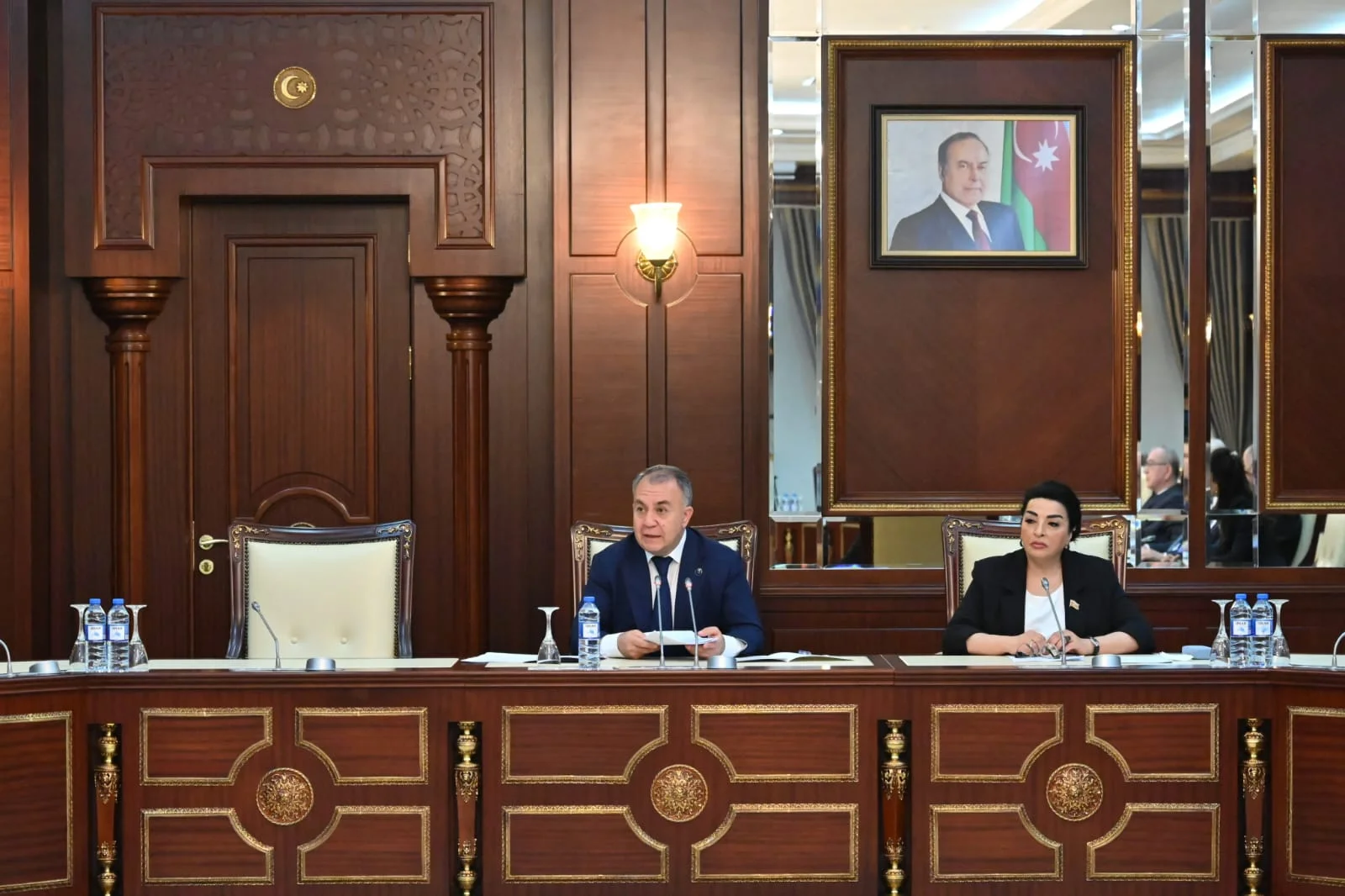Təbii ehtiyatlar, energetika və ekologiya komitəsinin iclasında