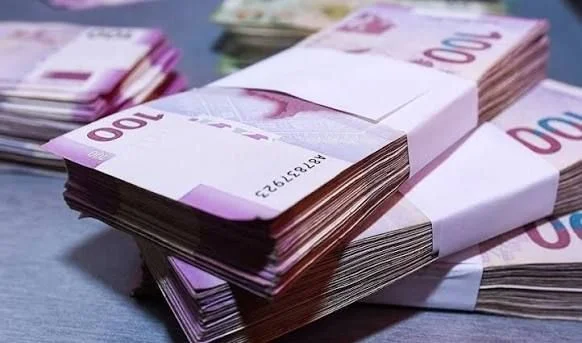 Yanvar-aprel aylarında dövlət büdcəsindən fiziki və hüquqi şəxslərə 96,5 milyon manat geri qaytarılıb