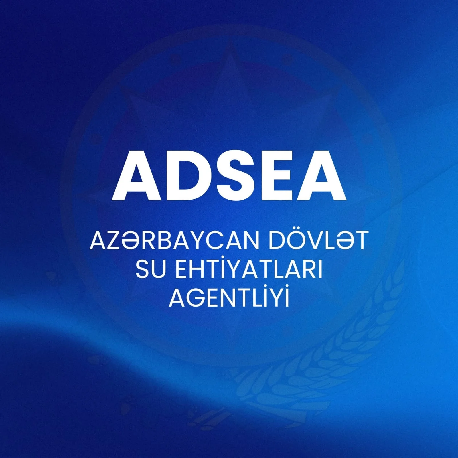 ADSEA-nın əməkdaşları gücləndirilmiş iş rejimi şəraitində əraziləridən yağış sularını kənarlaşdırırlar.