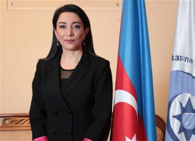 Heydər Əliyevin siyasi-hüquqi irsi: hüquqi dövlət və insan hüquqlarının təminatı
