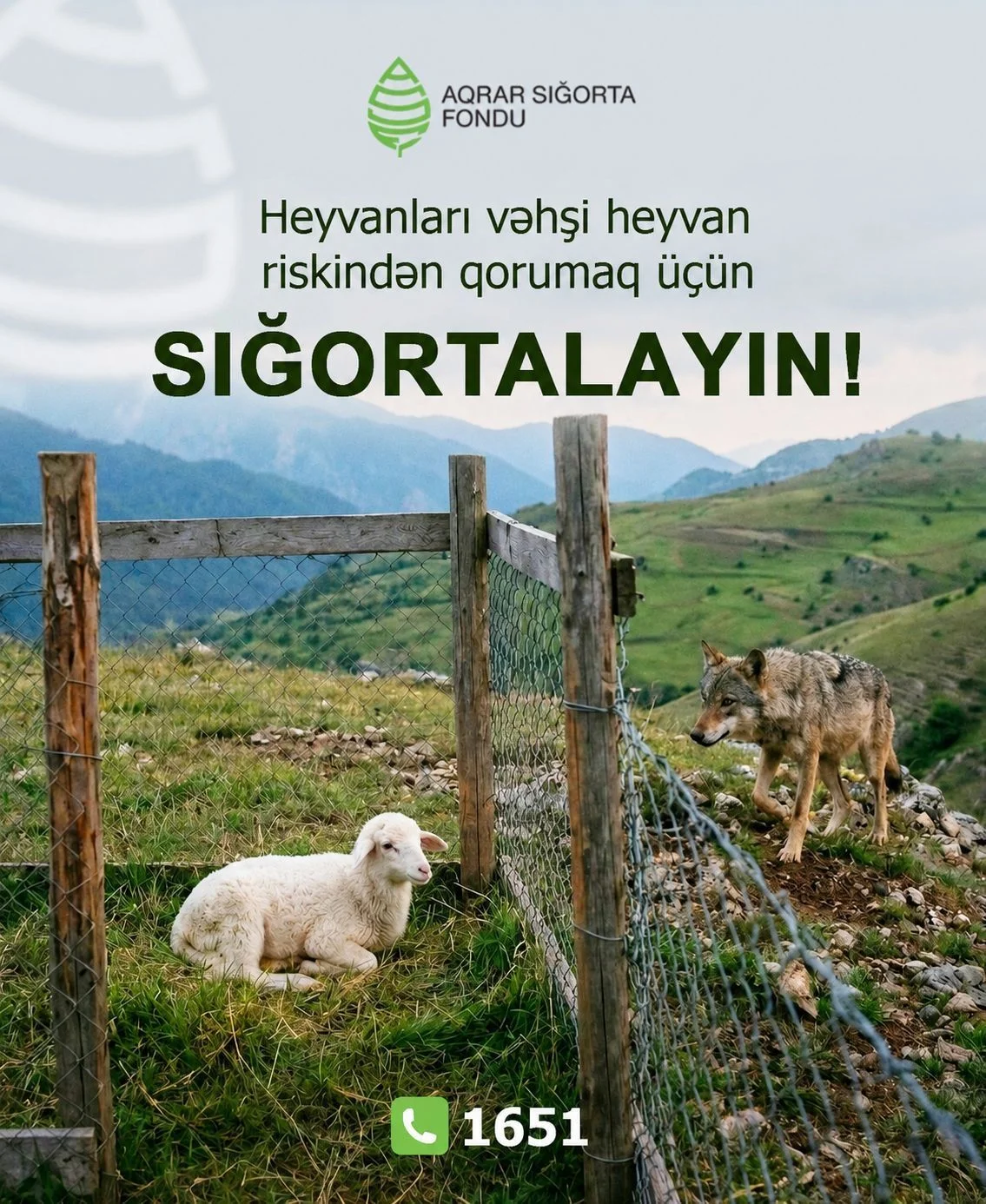 Aqrar Sığorta Fondu vəhşi heyvan hücumları ilə bağlı fermerlərə müraciət edib