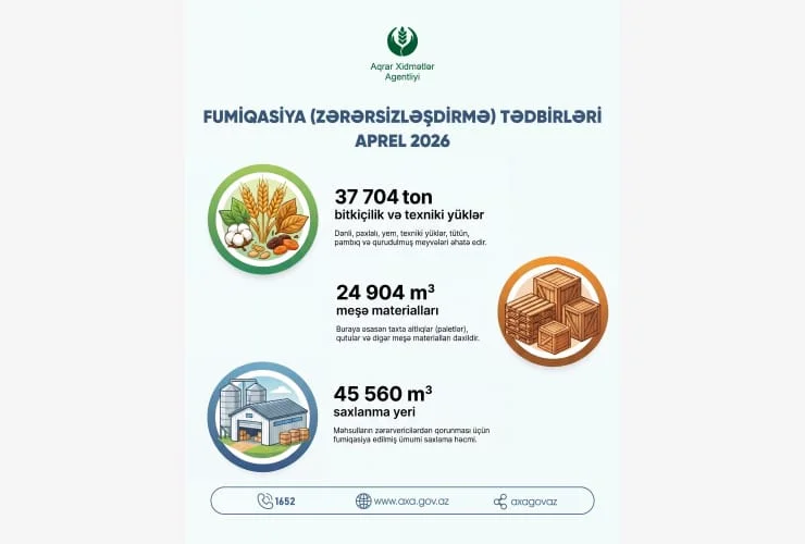 Fiziki və hüquqi şəxslərə məxsus istehsal və saxlama yerlərində fumiqasiya tədbirləri davam etdirilir