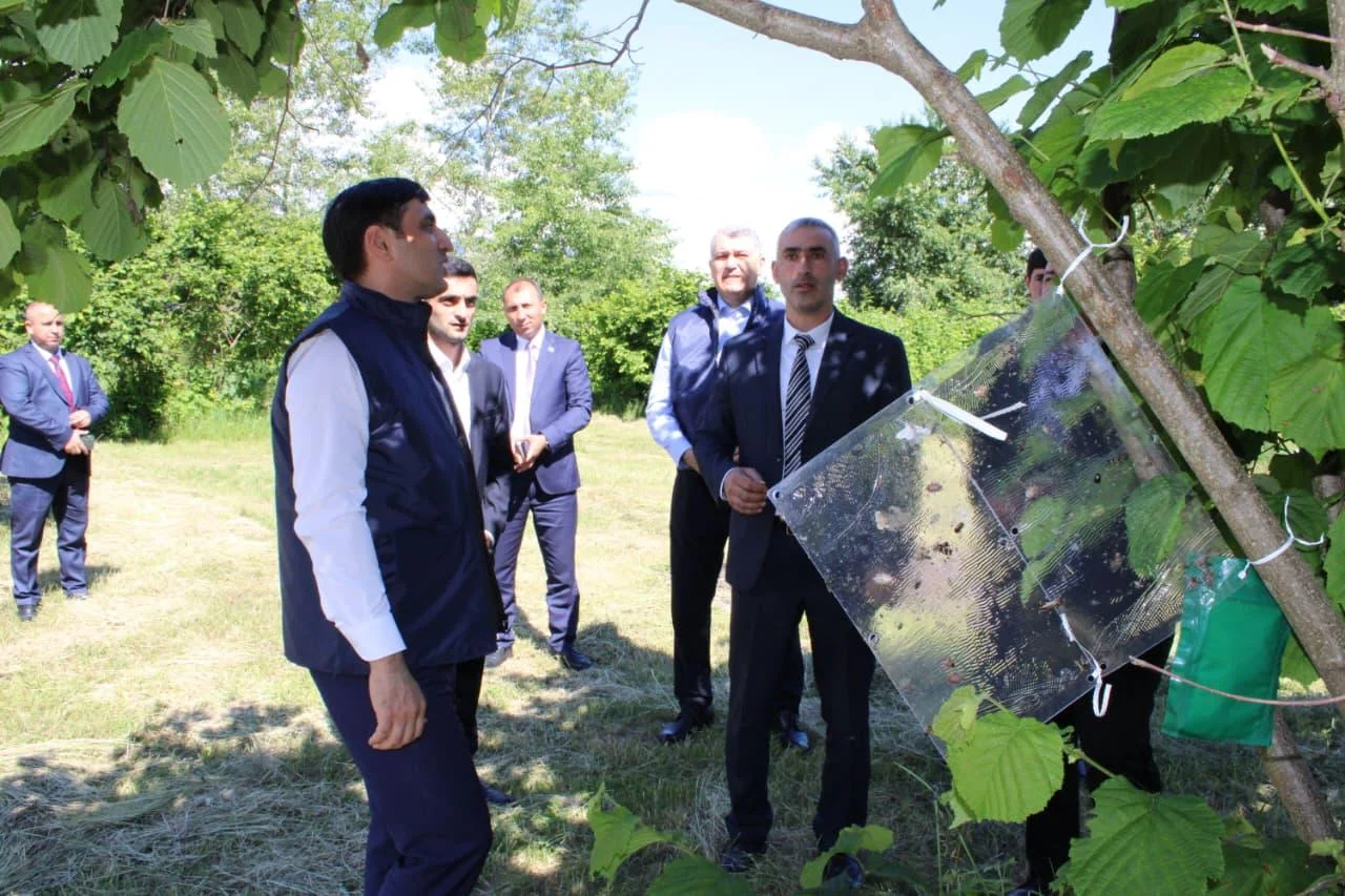 AXA sədri SərdarHacıyev Balakən rayonunda vətəndaşlarla görüşüb, təsərrüfatlara baş çəkib