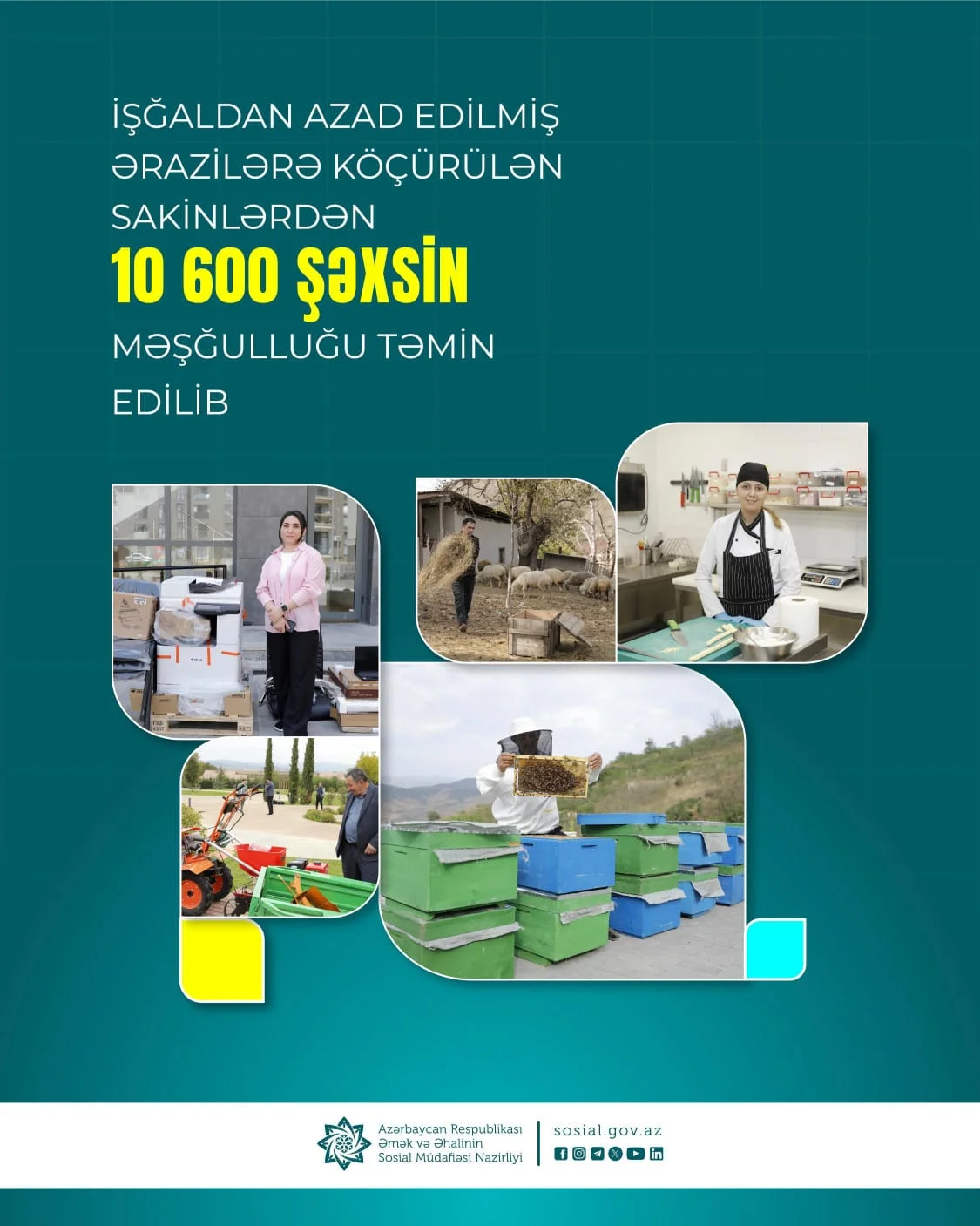 İşğaldan azad edilmiş ərazilərə köçürülən sakinlərdən 10600-dək şəxsin məşğulluğu təmin edilib