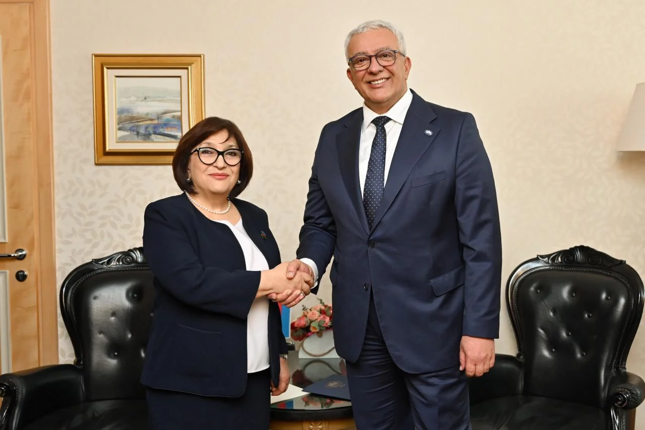 Milli Məclisin sədri Sahibə Qafarova Monteneqro parlamentinin sədri ilə görüşüb
