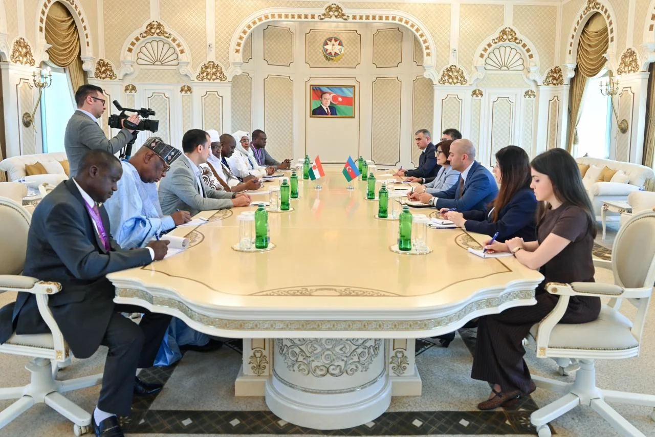 Milli Məclisin sədri Sahibə Qafarova Niger Respublikası Məsləhət Şurasının sədri ilə görüşüb