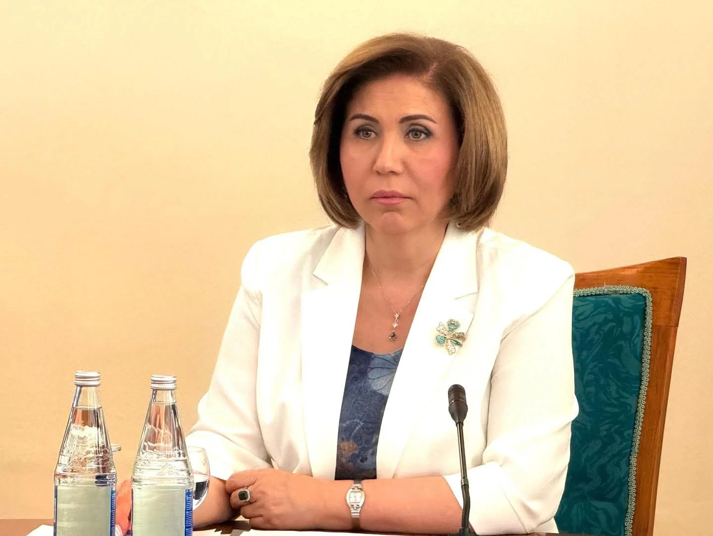 Bahar Muradova: "Ailələrdə və cəmiyyətdə gərginlik yaratmayan rəqəmsal mühit qurmalıyıq"