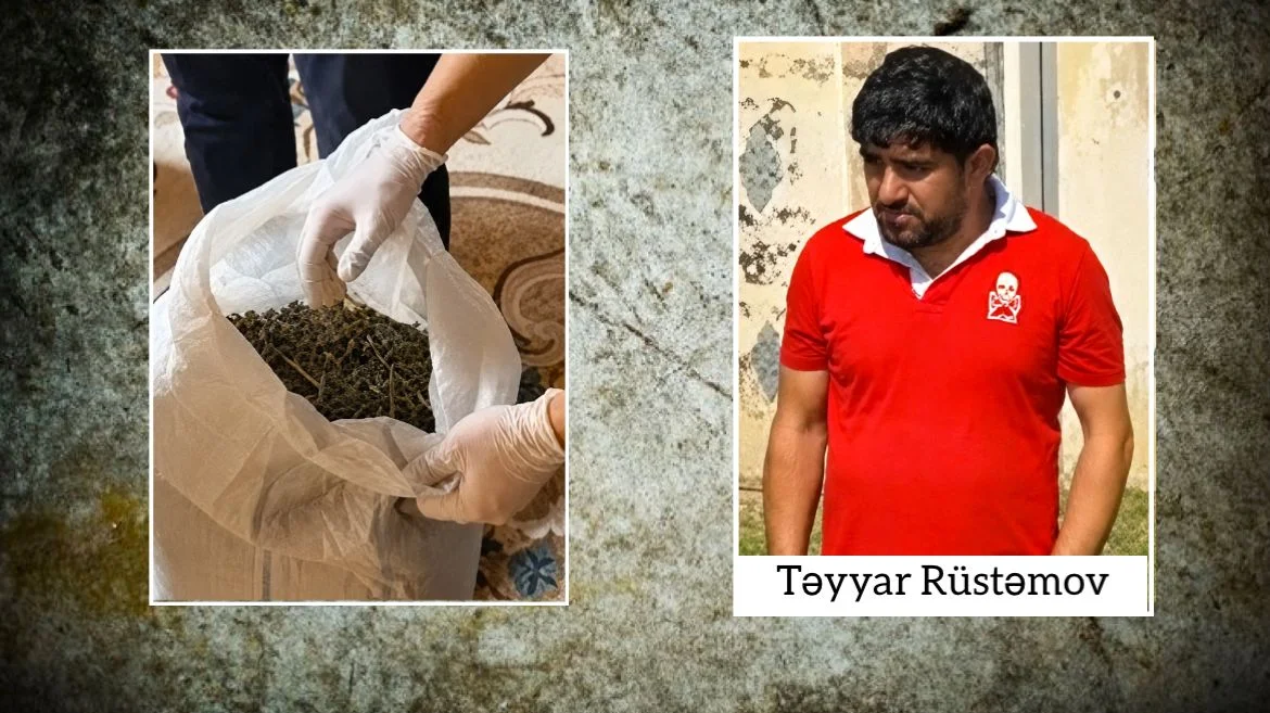 Ağcabədidə çətənə kolları və 7 kiloqramdan artıq marixuana aşkarlanıb