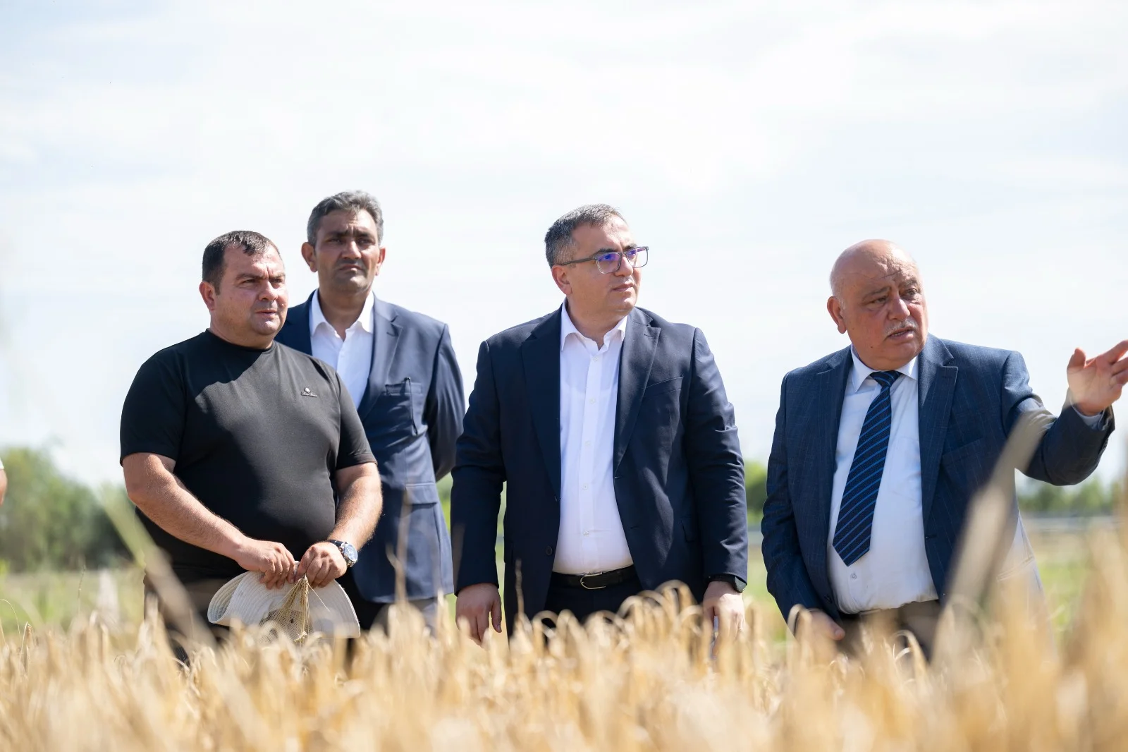 Nazir müavini Zaur Əliyev Ağcabədidə taxıl biçini prosesini izləyib, fermerlərlə görüşüb