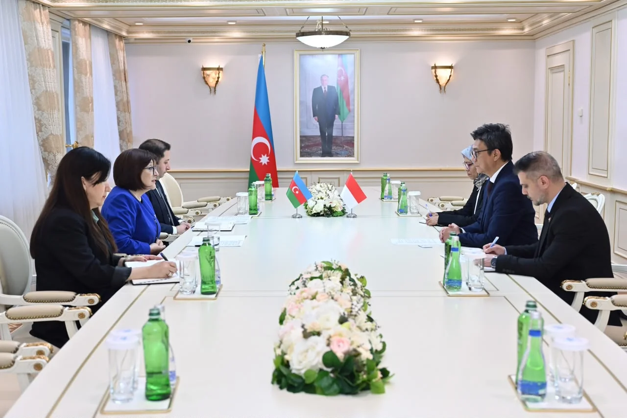 Milli Məclisin sədri Sahibə Qafarova Almaniyanın ölkəmizdəki səfirini qəbul edib