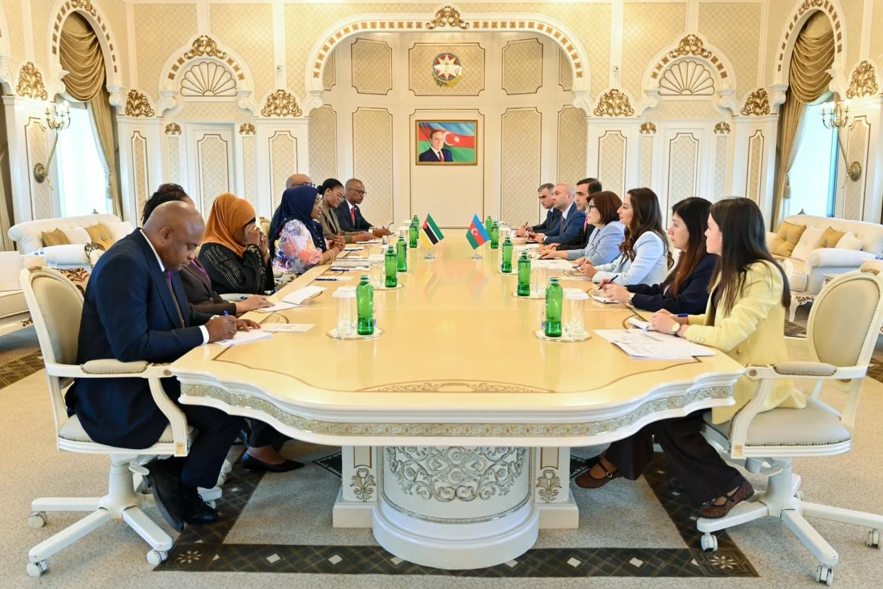 Milli Məclisin sədri Sahibə Qafarova Mozambik Respublika Assambleyasının sədri ilə görüşüb