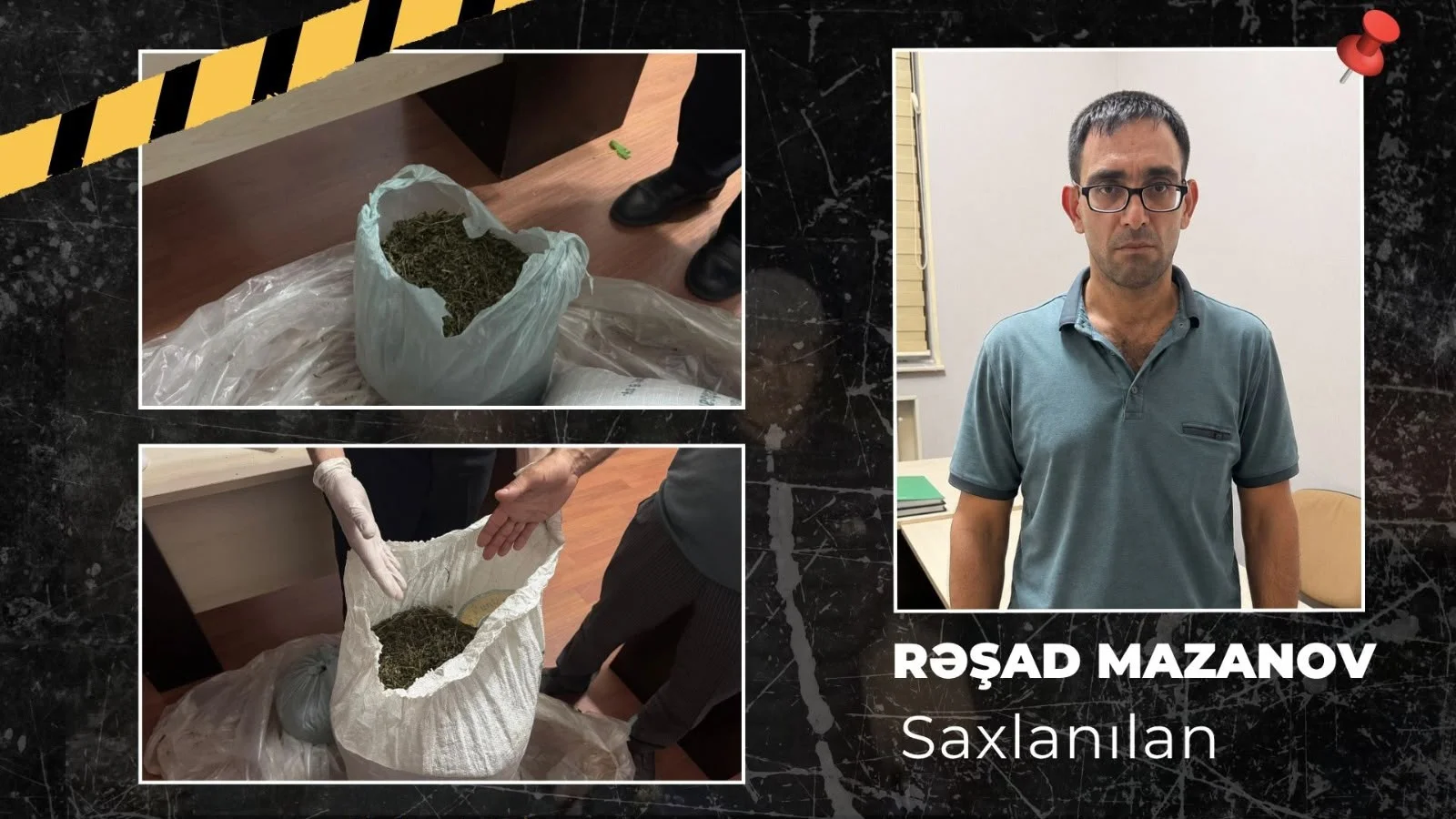 İsmayıllıda meşə ərazisində külli miqdarda narkotik vasitə aşkarlanıb
