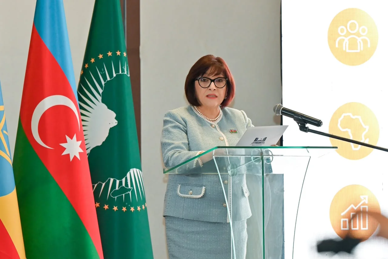 Milli Məclisin sədri Sahibə Qafarova Efiopiyaya rəsmi səfəri çərçivəsində bir sıra ölkələrin səfirləri ilə görüşüb