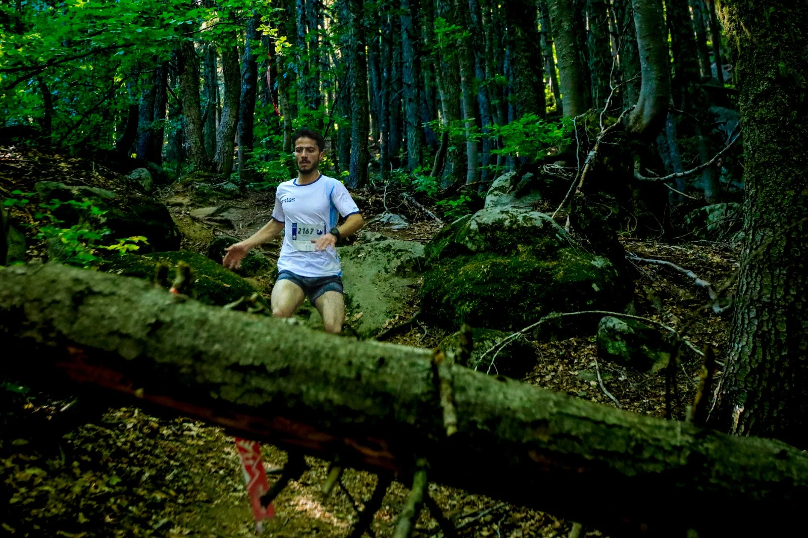 Türkiyədə 9-cu Uludağ Premium Ultra Trail yarışına geri sayım başlayıb