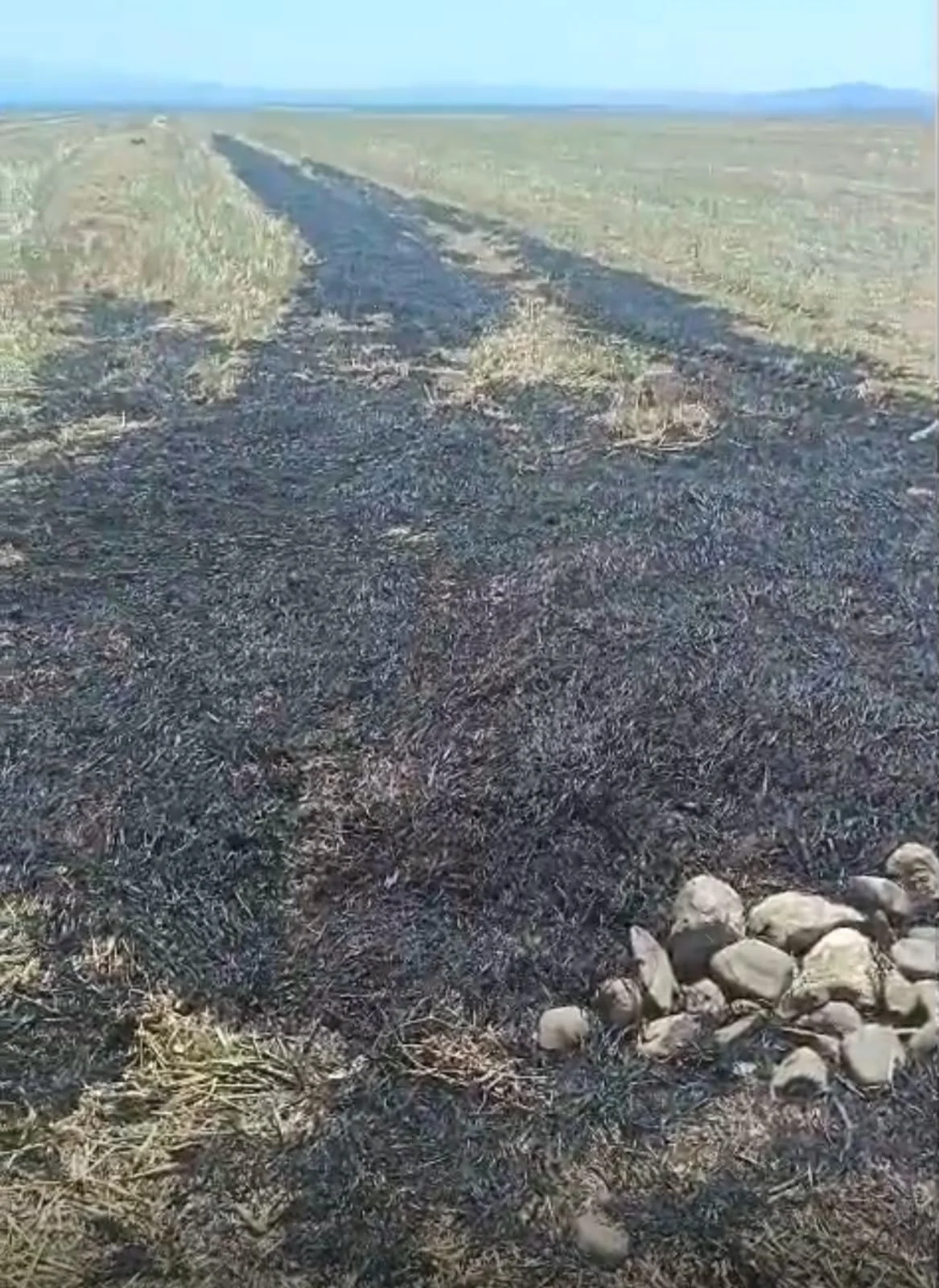 Oğuzda yanğın törədən şəxs məsuliyyətə cəlb olunub