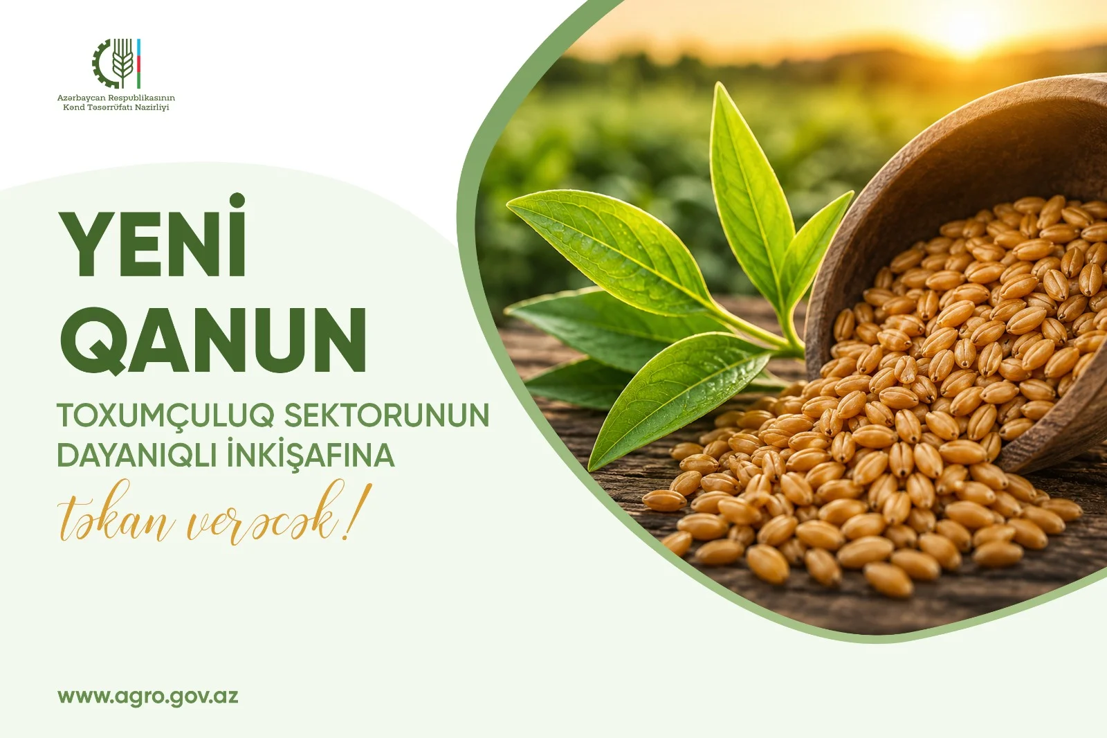 Yeni Qanun toxumçuluq sektorunun dayanıqlı inkişafına təkan verəcək