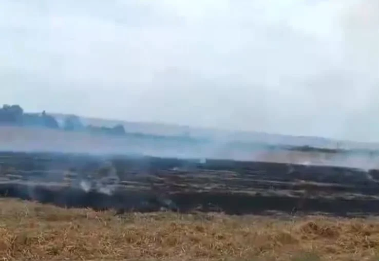 Bölgələrdə yanğına səbəb olan 3 nəfər məsuliyyətə cəlb olunub