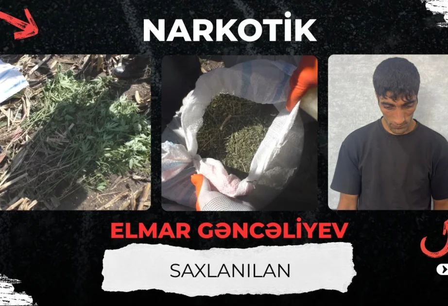 Balakəndə külli miqdarda narkotik vasitə aşkarlanıb