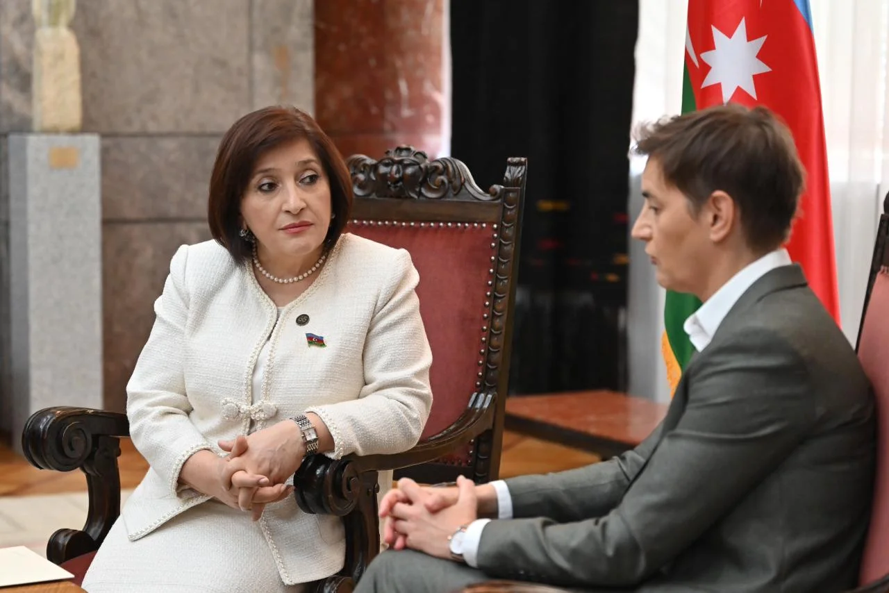 Milli Məclisin sədri Sahibə Qafarova Serbiya Respublikası Milli Assambleyasının sədri ilə görüşüb