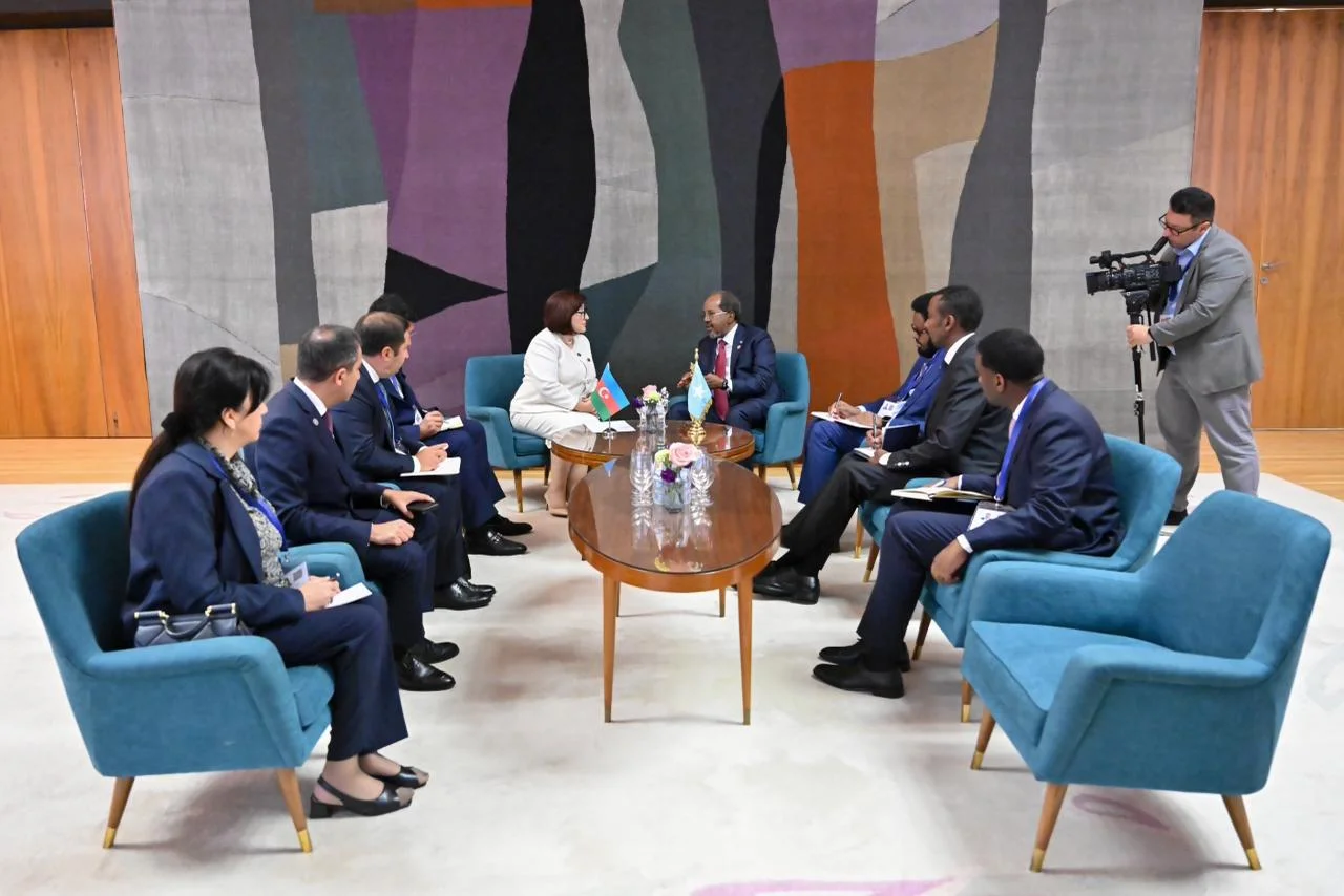 Milli Məclisin sədri Sahibə Qafarova Somali Prezidenti ilə görüşüb