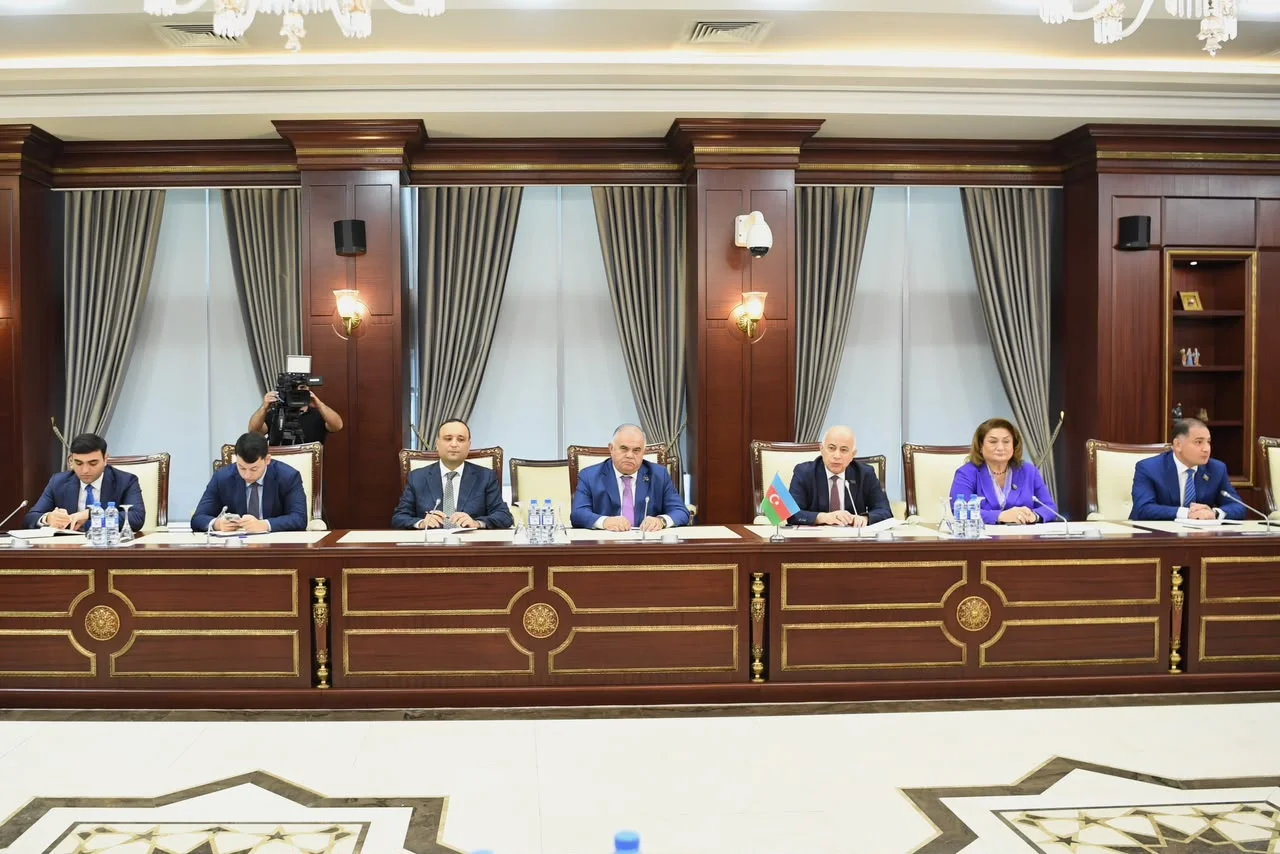 Milli Məclisdə Gürcüstan parlamentinin nümayəndə heyəti ilə görüş keçirilib