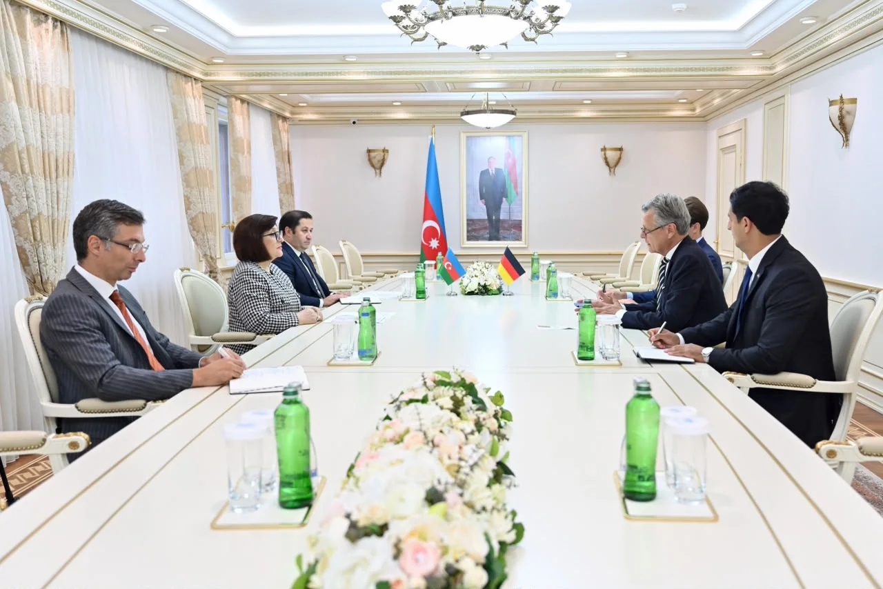 Milli Məclisin sədri Sahibə Qafarova Almaniyanın Azərbaycandakı səfiri ilə görüşüb