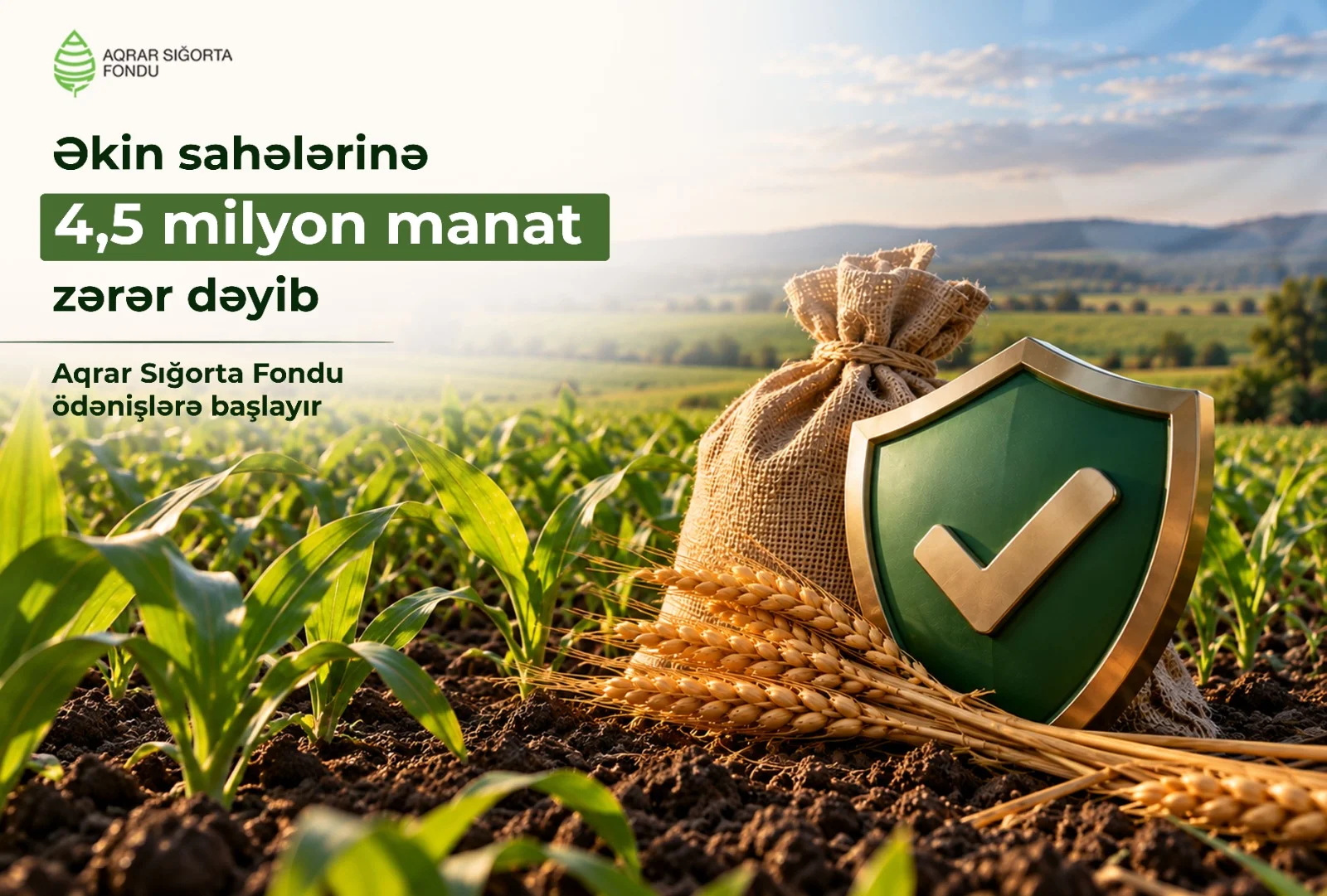 Aqrar Sığorta Fondu əkin sahələrinə dəymiş zərərlər üzrə ödənişlərə başlayır